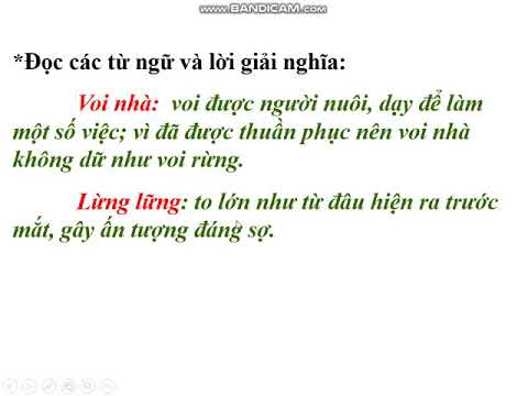 Tập đọc lớp 2 bài: Voi nhà (Tuần 24)