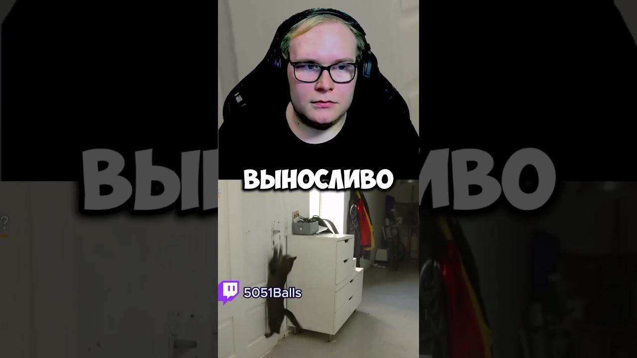 Кошки инопланетяне