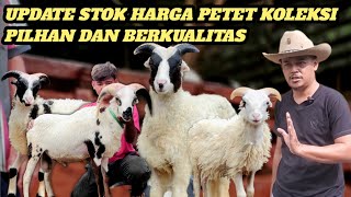 UPDATE HARGA PETETAN DI BIBILINTIK FARM CIAWI BOGOR