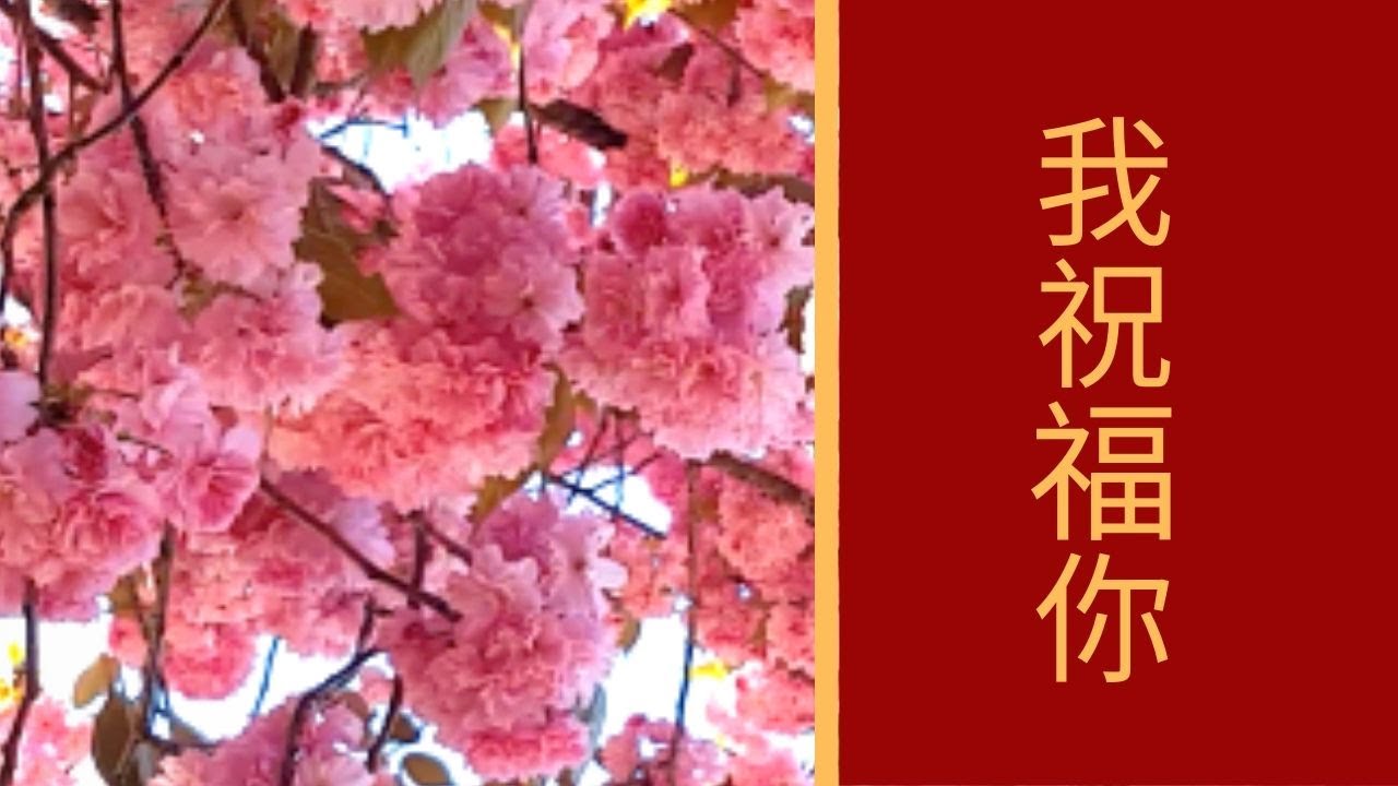 我祝福你 原版 19基督徒新年祝福歌 原創粤語福音流行歌曲 祝福詩歌 Youtube