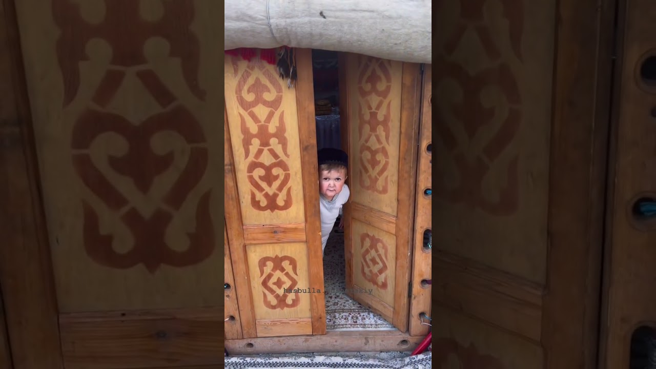 Khabib surprise hasbullah 