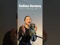 ♪ Endless Harmony TVアニメ「FAIRY TAIL」EDテーマソング #originalsong #アニメ #フェアリーテイル #歌ってみた