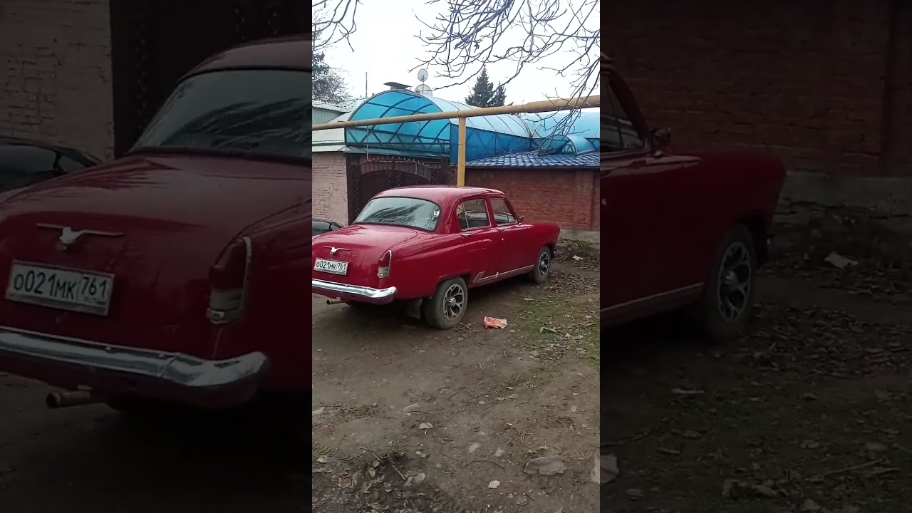 Живая Волга 21 