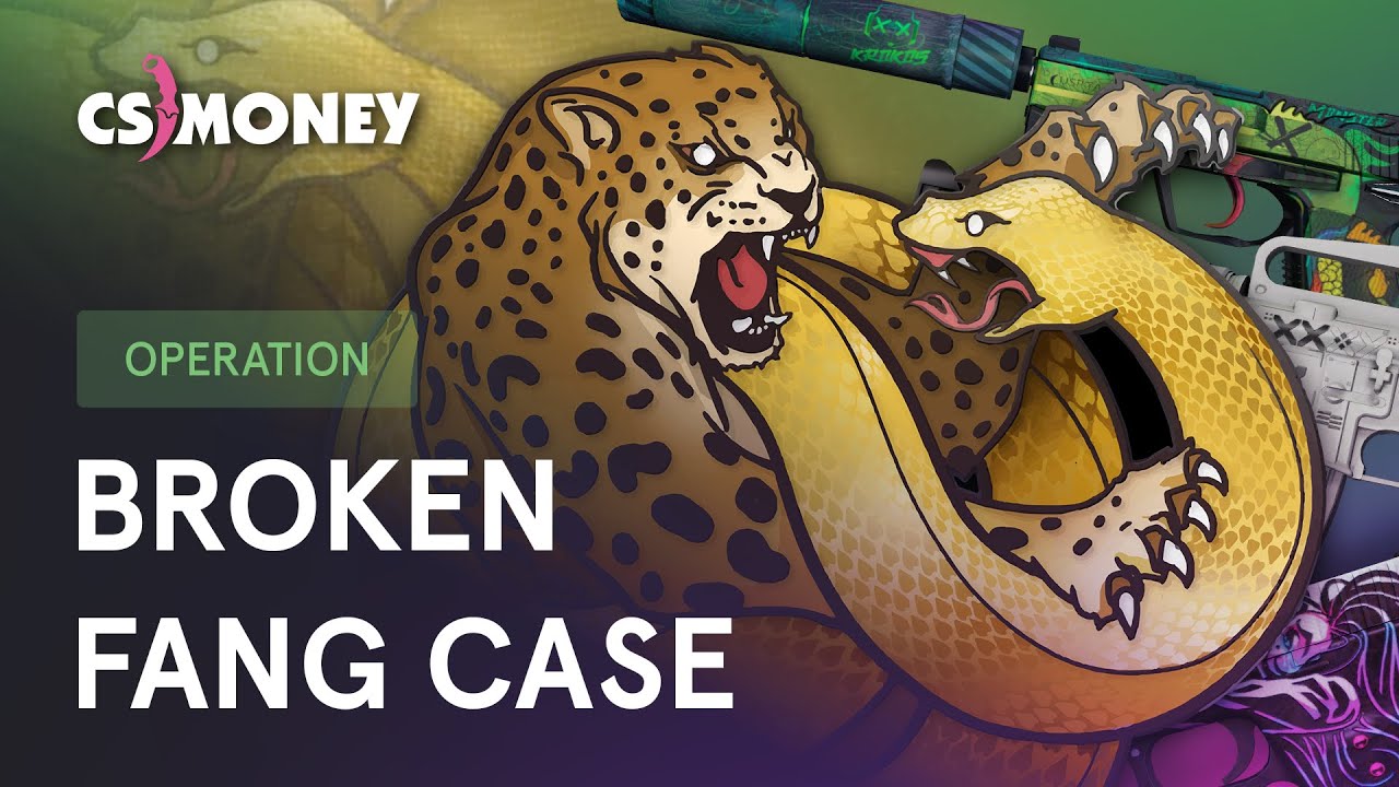 BROKEN FANG CASE | ALL NEW SKINS | CS:GO update OPERATION 2020 cs money