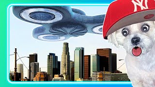 Fidget Spinner Alien Invasion - Reacting to Buttered Side Down by@ChopsicleTheDog