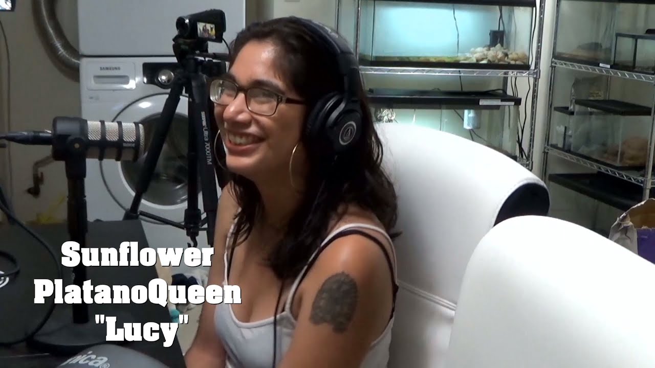Interviewing Sunflower PlatanoQueen "Lucy"
