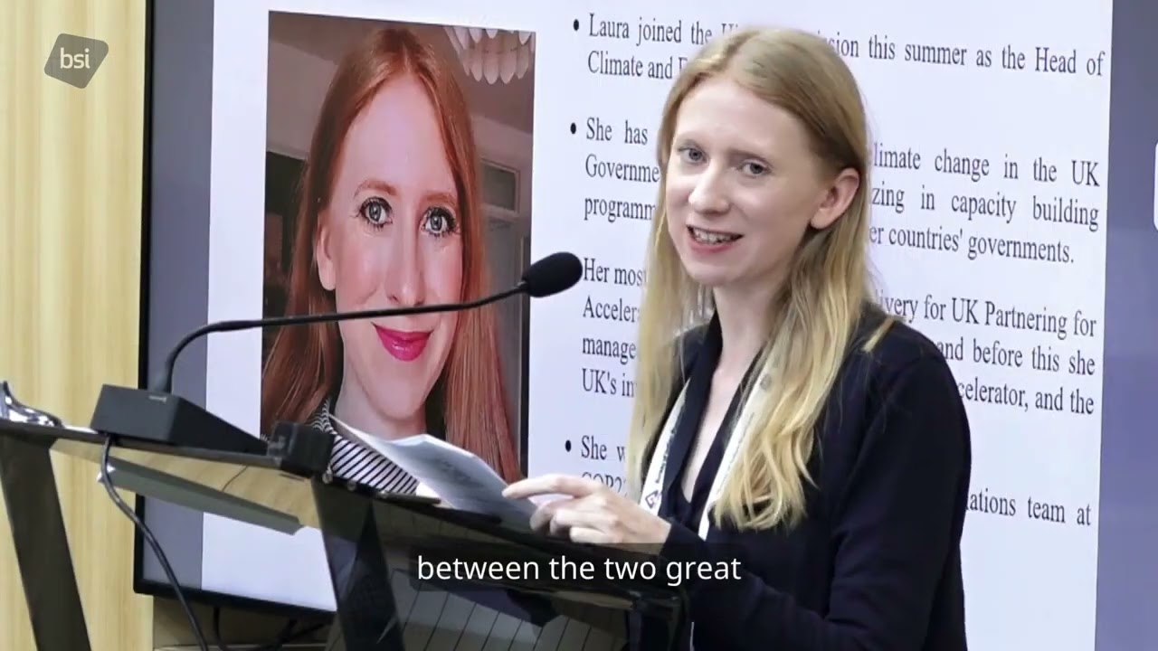 Поддержка инициатив в области «зелёной» торговли в Индии — Партнёрство по стандартам | BSI