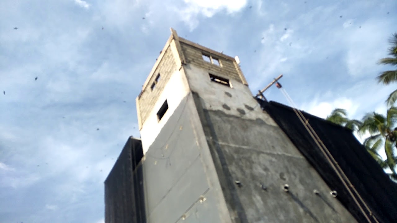 Rumah burung walet 