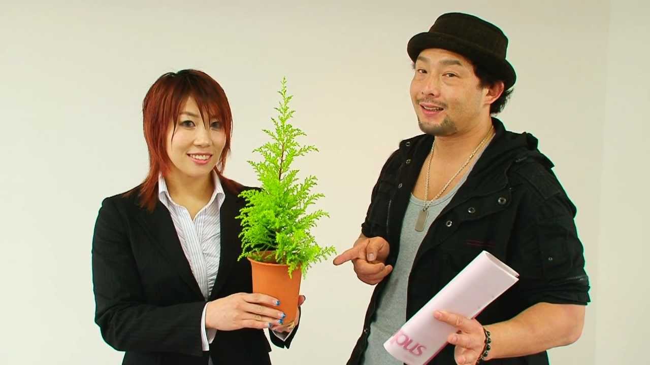 プロレス ニュースクリップ カテゴリー プロレス専門blogブラックアイ２