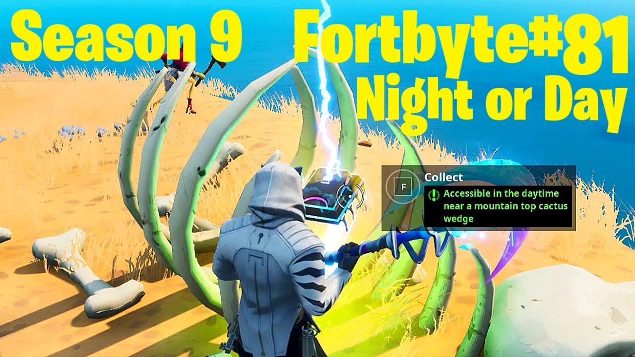 Fortnite - Fortbyte #81 Night or Day Mountain top Cactus Wedge Location
