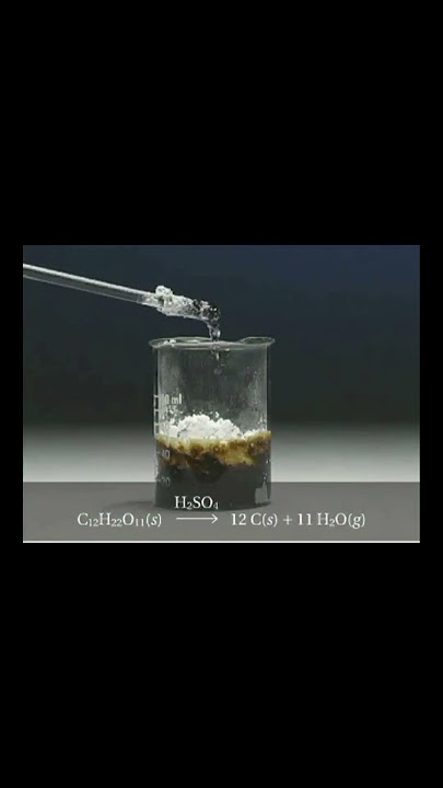 'Explosive Reaction: Sugar   Sulfuric Acid' | 'Why You Should Never Mix Sugar and Sulfuric Acid'