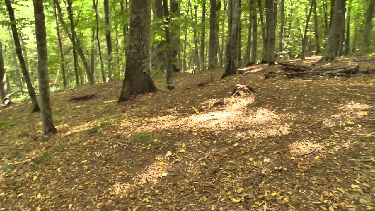 мебельные клещи фото смотреть