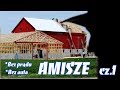 Amisze - Życie Bez Prądu I Innych Wynalazków Ostatnich 300 lat | POV Emigranta #12 cz.1