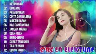ORGEN TUNGGAL FULL ALBUM DANGDUTAN || LILIS MUSIK