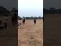 Khelo India Athletics coaching centre at pakur jharkhand #trackcoach #runningcoach #strengthtraining