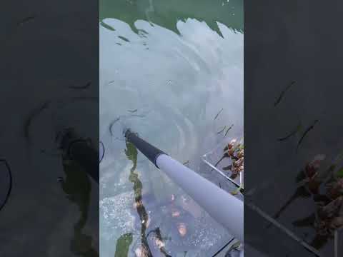 Будівництво ставка