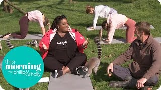 Alison Tries Lemur Yoga This Morning