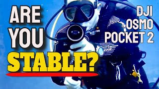 Scuba Diving with the DJI Osmo Pocket 2 (3 Axis Gimbal Video Stabilization). by Everything Scuba 19,496 views 2 years ago 13 minutes, 6 seconds