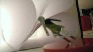 spatial relations
