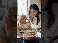 Cats are my best kitchen partners!#WarmHomeCooking #FamilyCookingTime #OrangeCat #AIPainting