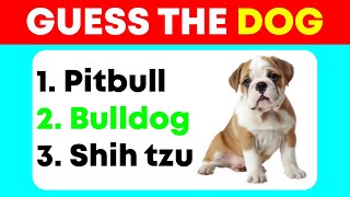Only Geniuses Can Guess All Dogs Correctly (Trivia Quiz) | Brain Games & Puzzles screenshot 5