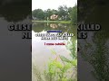 Canada Geese Illegally Killed near LSU Lakes