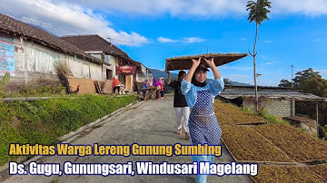 Pagi Yang Sejuk Di Kampung Lereng Gunung Sumbing Sambil Melihat Aktivitas Penduduknya, Dusun Gugu