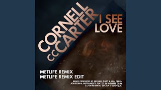 Celebrity I See Love (Metlife Remix) Net Worth