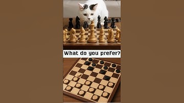 What do you prefer? Playing chess or playing checkers? #chess #games #shorts #time #mindset #cat
