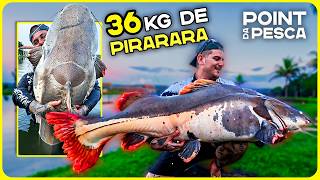 🚩 POINT DA PESCA - PIRARARA GIGANTESCA DE 36kg!! [DINIZ PESCA]