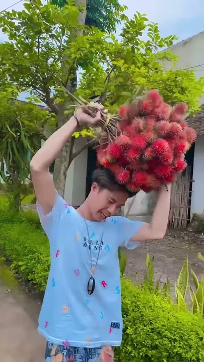 Download lagu Feather harvest