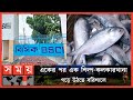 Found on YouTube: পদ্মা সেতু চালুর দৃশ্যমান সুফল এখন গোটা দক্ষিণাঞ্চলে | Ilish | BSCIC | Barisal News | SomoyTV