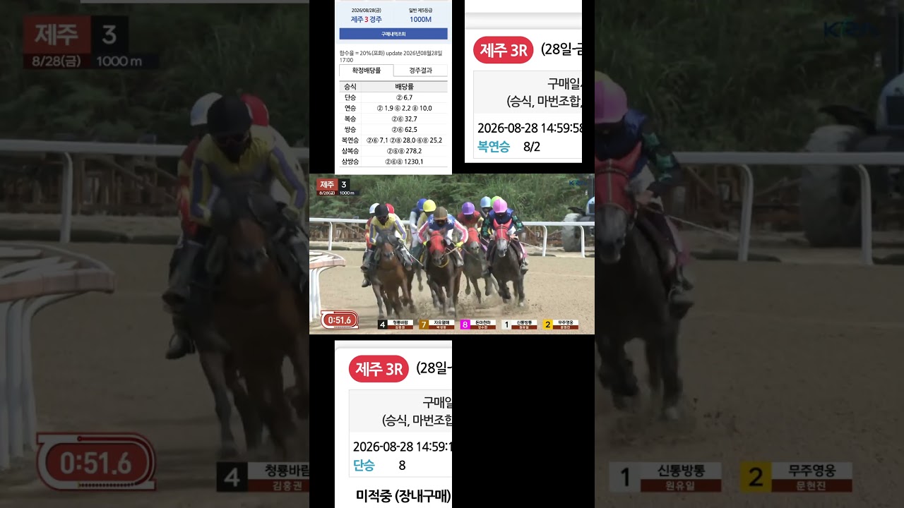 28배적중복연