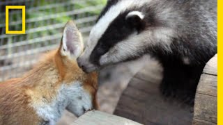 ビリーとピクシーの消えない友情 | ナショジオ