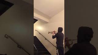 "The Force Theme" - Star Wars - stairwell with awesome reverb