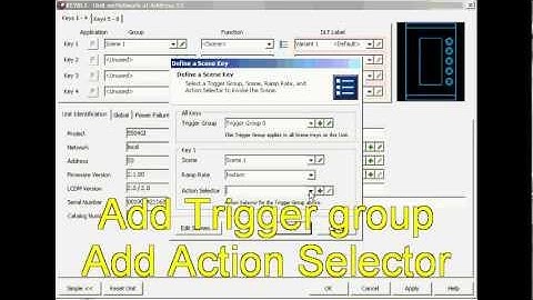 Creating scenes on DLT and Editing Lables .avi