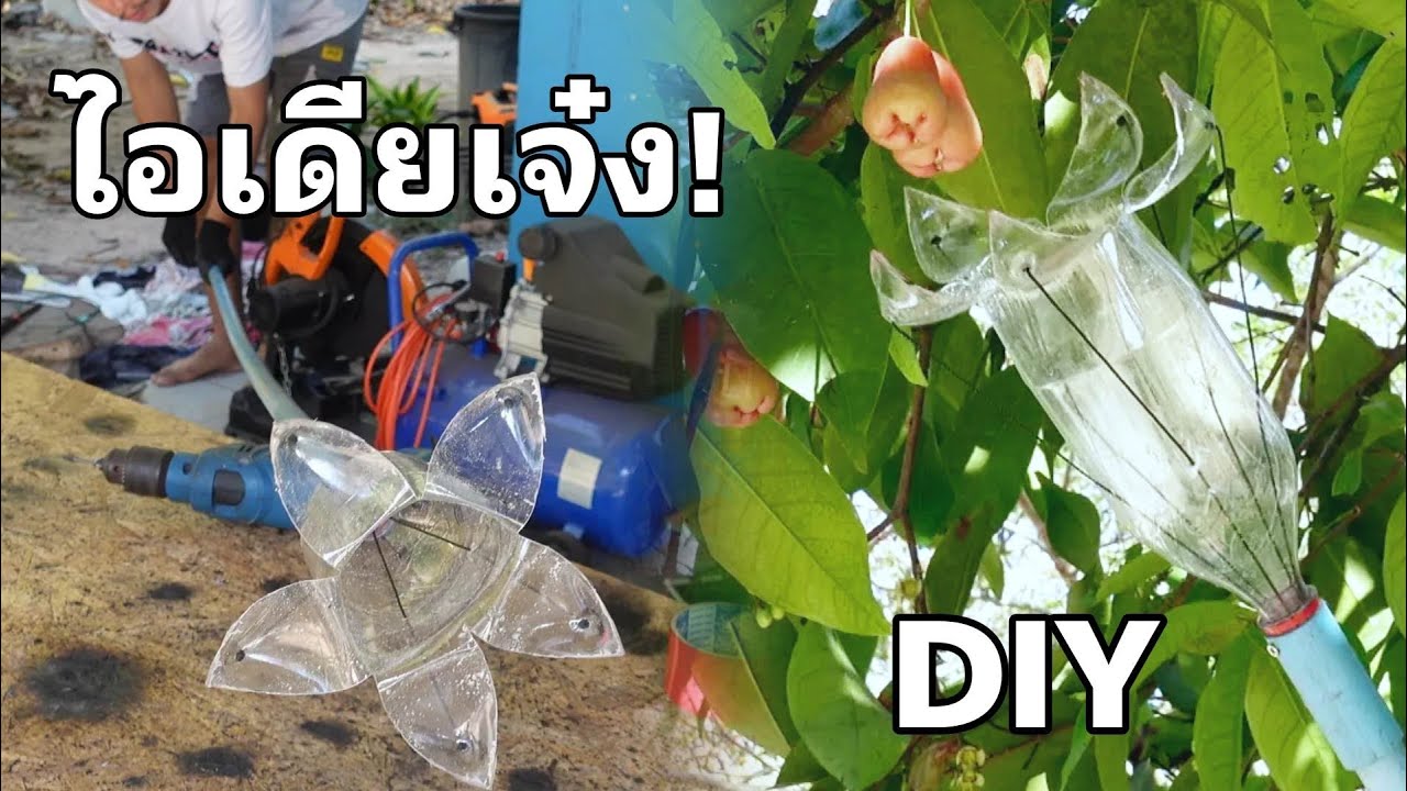 DIYไม้สอยมะม่วงจากขวดพลาสติก (ไม่ใช่มะม่วงก็ล่วงได้)