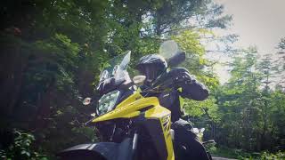 Suzuki V-STROM 250SX