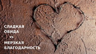 Виктория Дубинская. Сладкая обида. Мерзкая благодарность