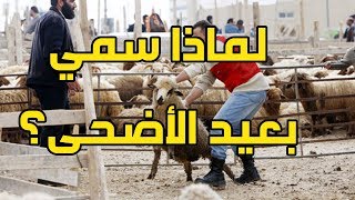 هل تعلم لماذا سمي عيد الأضحى بهذا الإسم؟ تعرف على قصة هذا الاسم