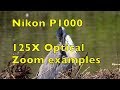 Nikon P1000 125X Optical Zoom Handheld!