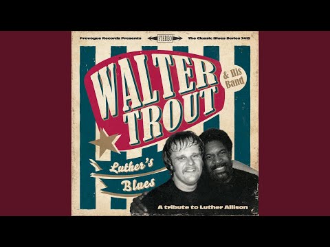 Putar I'm Back - Walter Trout