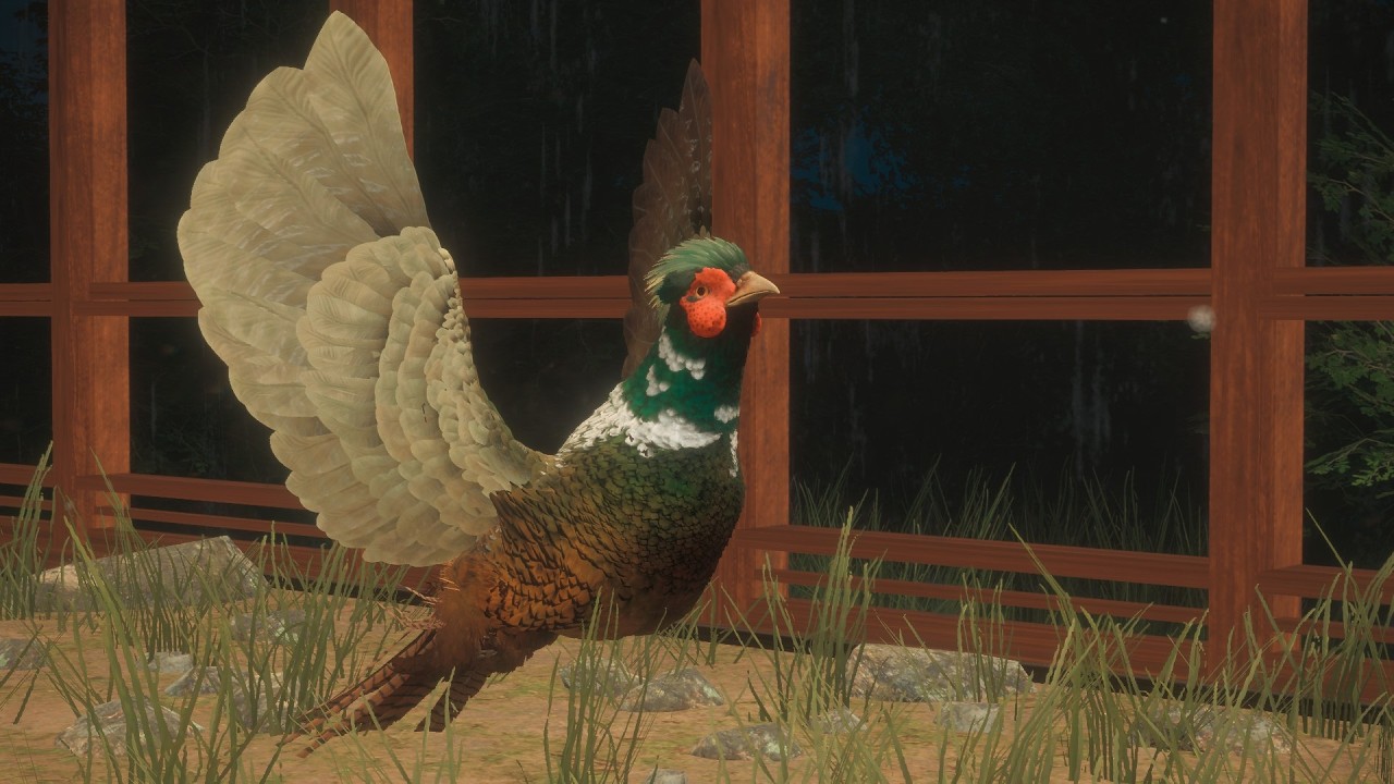 GREAT ONE Phesant #1 - The Hunter CotW