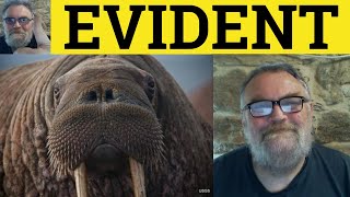 🔵 Evident Meaning - Self Evident Defined - Evidently Examples - CAE Adjectives - Evident