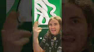 milk of the madonna by Deftones | SONG REVIEW