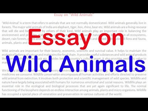 essay wild animals