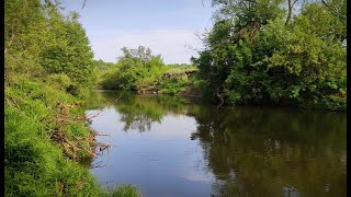 Красивая река, природа #Shorts