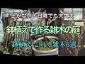 【鉢植えで育てられる庭木6選】