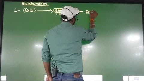 Lecture 04 Principles of Inheritance and Variation By Dr Sunil Kumar Kakadev Kanpur