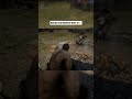 what a life #rdr2 #rdr2shorts #reddeadredemption2 #arthurmorgan  #rdr2clips #rockstargames